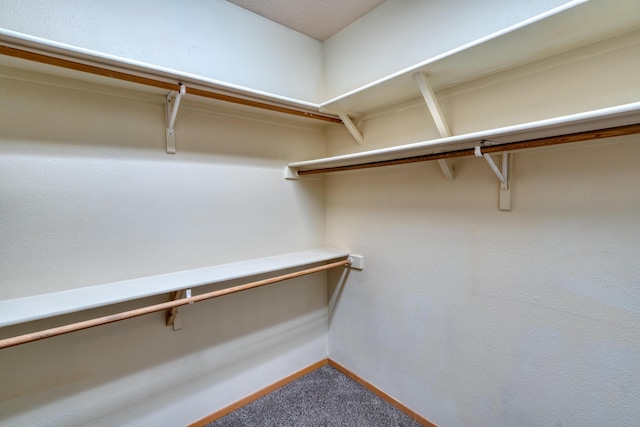 4224 New Vistas Ct NW, Albuquerque, NM 87114 - photo 29
