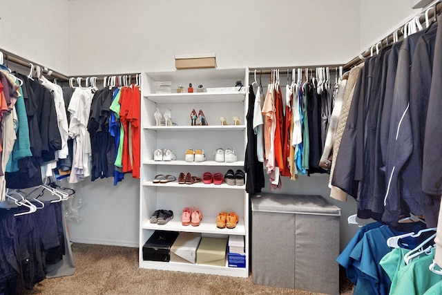 2332 Del Timbre Ln SW, Albuquerque, NM 87121 - walk in closet featuring carpet flooring