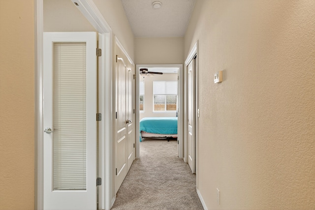 939 Desert Willow Ct, Bernalillo, NM 87004 - photo 19