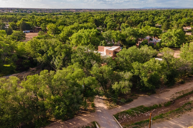 2505 Elfego Rd NW, Albuquerque, NM 87107 - drone / aerial view of a heavily wooded area