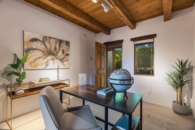 2505 Elfego Rd NW, Albuquerque, NM 87107 - office area featuring a wooden ceiling with exposed beams, carpet flooring, and track lighting