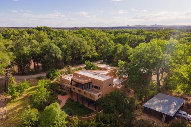 2505 Elfego Rd NW, Albuquerque, NM 87107 - view of subject property with a forest