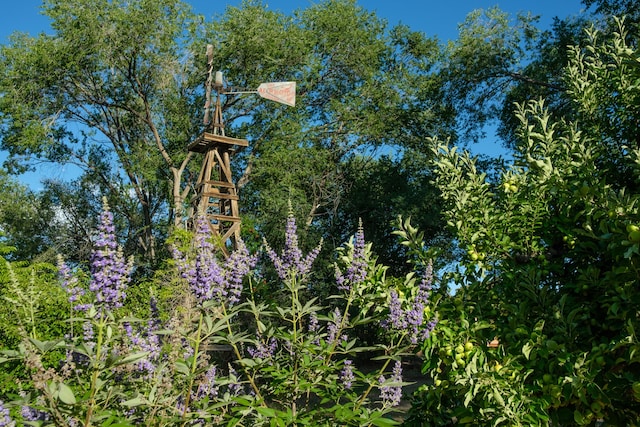 2505 Elfego Rd NW, Albuquerque, NM 87107 - view of jungle gym