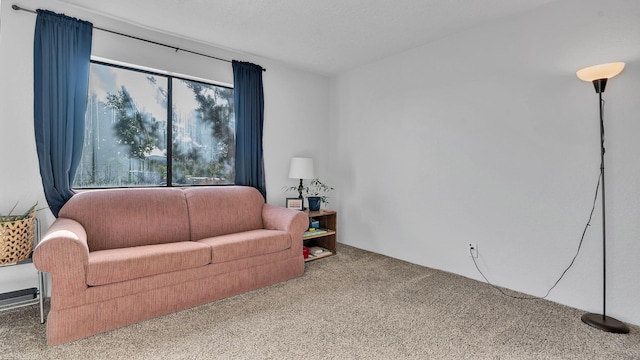 6041 Sequoia Rd NW Unit B3, Albuquerque, NM 87120 - view of carpeted living room