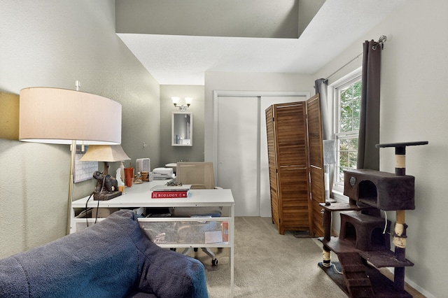 700 Fruit Ave NW Unit G, Albuquerque, NM 87102 - office area featuring carpet floors