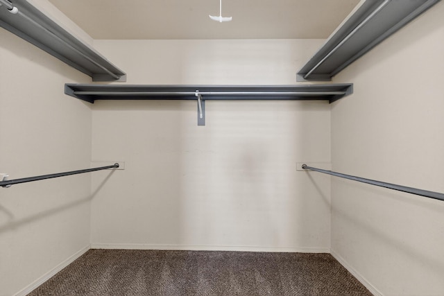 10708 Monterey Pier Dr NW, Albuquerque, NM 87114 - photo 38