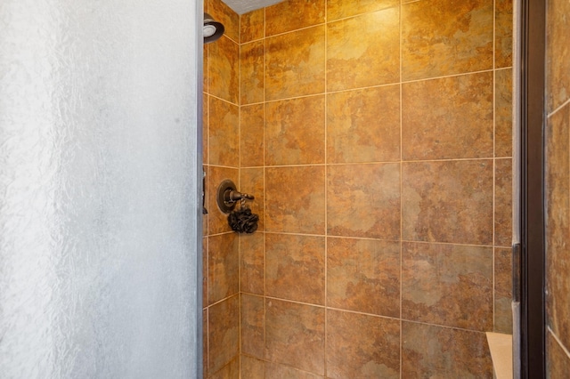 6615 Mountain Hawk Loop NE, Rio Rancho, NM 87144 - bathroom view of a tile shower