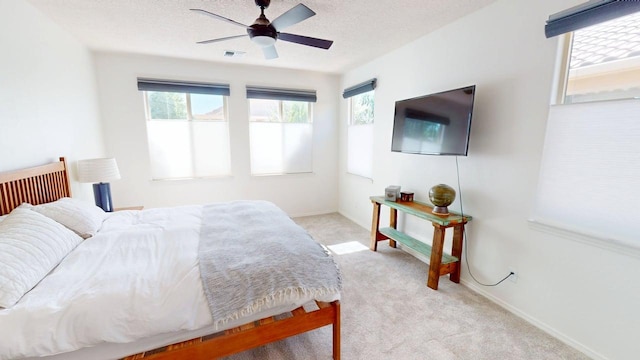 872 Golden Yarrow Trl, Bernalillo, NM 87004 - photo 9