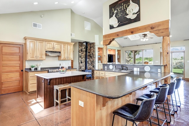 276 Trosello Ln, Corrales, NM 87048 - kitchen with a spacious island, high vaulted ceiling, light brown cabinetry, under cabinet range hood, and ceiling fan