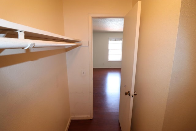 3847 Montgomery Blvd NE Unit 923, Albuquerque, NM 87109 - hall with baseboards and dark wood-type flooring