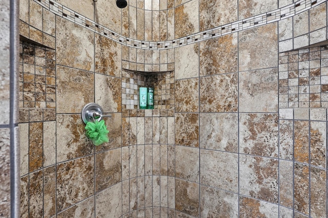 76 Otero Rd, Los Lunas, NM 87031 - bathroom view of tiled shower