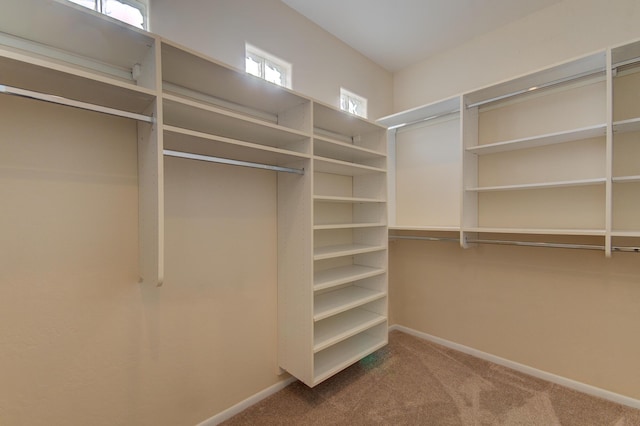 315 11th St SW, Albuquerque, NM 87102 - spacious closet with carpet flooring