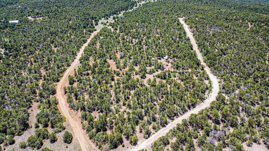 244 Five Hls Dr, Tijeras, NM 87059
