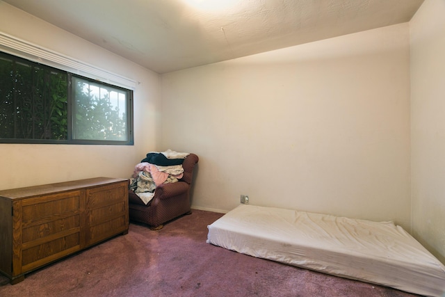 2929 Carolina St NE, Albuquerque, NM 87110 - photo 19