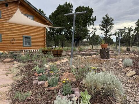195 Ferguson Rd, Ramah, NM 87321 - view of yard