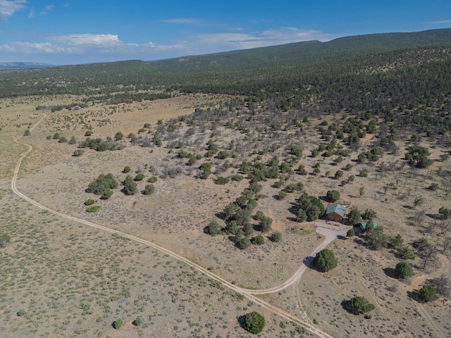195 Ferguson Rd, Ramah, NM 87321 - view of property location with a desert landscape and rural landscape