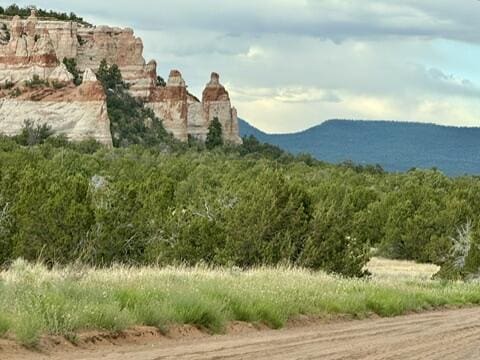 195 Ferguson Rd, Ramah, NM 87321 - mountain view