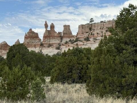 195 Ferguson Rd, Ramah, NM 87321 - view of mountain backdrop