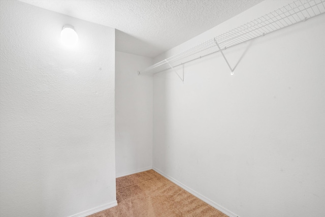 6123 Costa Brava Ave NW, Albuquerque, NM 87114 - photo 18