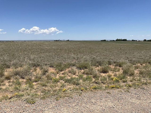 45 Roach Rd, Stanley, NM 87056