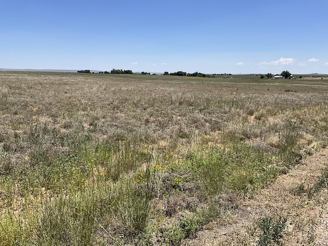 45 Roach Rd, Stanley, NM 87056