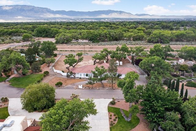 9514 Kandace Dr NW, Albuquerque, NM 87114 - photo 52