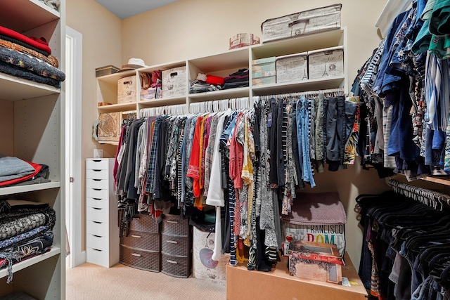 2308 Desert View Rd NE, Rio Rancho, NM 87144 - walk in closet featuring carpet