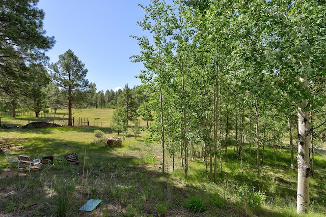150 Ponderosa Way, Jemez Springs, NM 87025 - view of undeveloped land