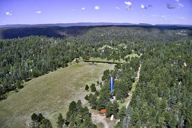150 Ponderosa Way, Jemez Springs, NM 87025 - aerial view of property and surrounding area featuring a forest