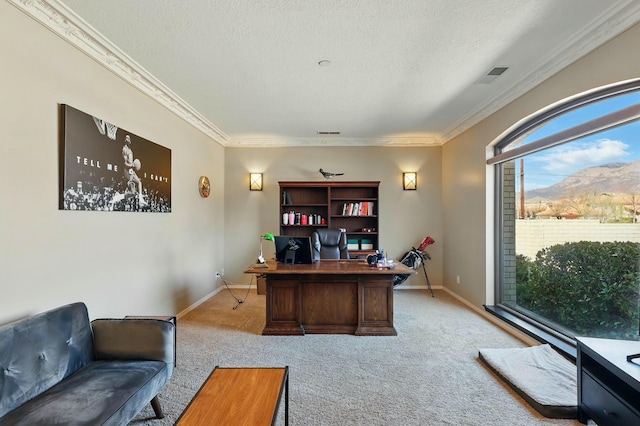7009 Pala Mesa Ct NE, Albuquerque, NM 87111 - photo 14