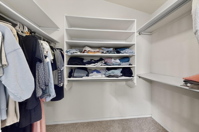 701 Autumn Meadows Dr, Rio Rancho, NM 87144 - walk in closet featuring carpet flooring