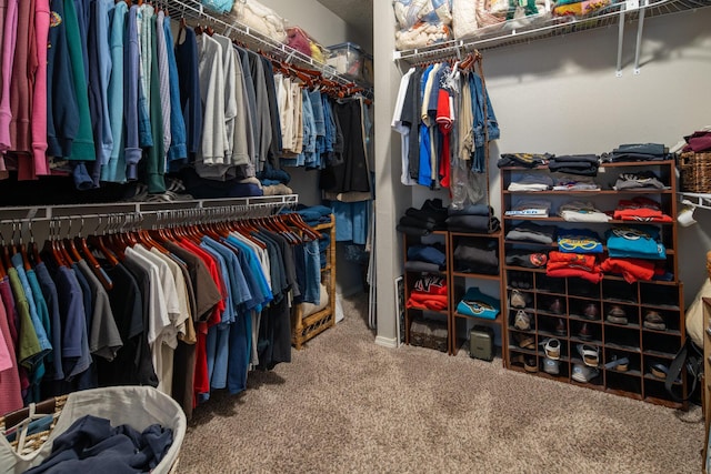 1978 Castle Peak Loop NE, Rio Rancho, NM 87144 - spacious closet featuring carpet floors