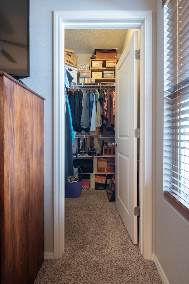 1978 Castle Peak Loop NE, Rio Rancho, NM 87144 - spacious closet with carpet flooring