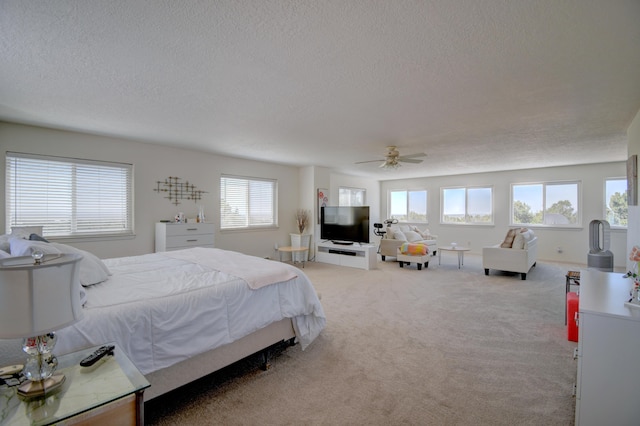 152 Vista Sierra Rd, Edgewood, NM 87015 - photo 16
