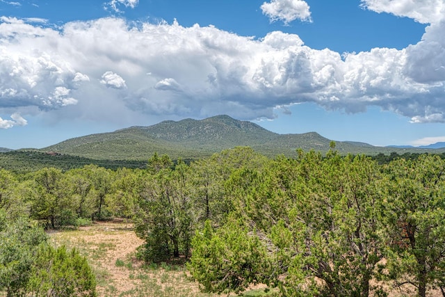 1 Dinosaur Rd, Stanley, NM 87056 - view of mountain backdrop with a heavily wooded area