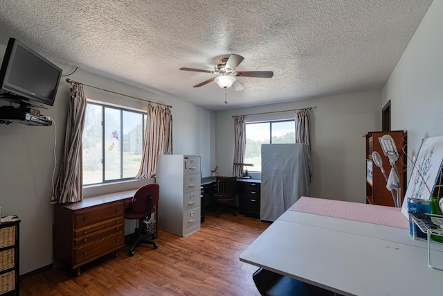 1 Dinosaur Rd, Stanley, NM 87056 - home office featuring ceiling fan, wood finished floors, and a textured ceiling