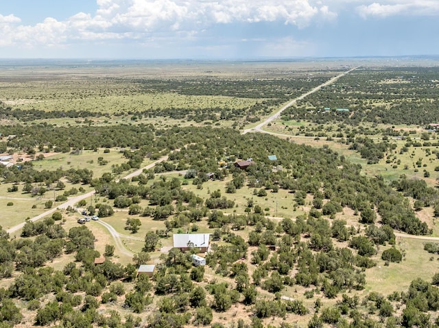 1 Dinosaur Rd, Stanley, NM 87056 - view of rural area