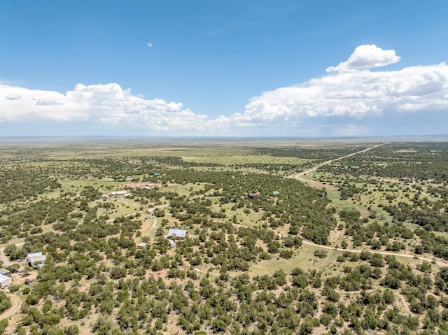 1 Dinosaur Rd, Stanley, NM 87056 - overview of rural landscape