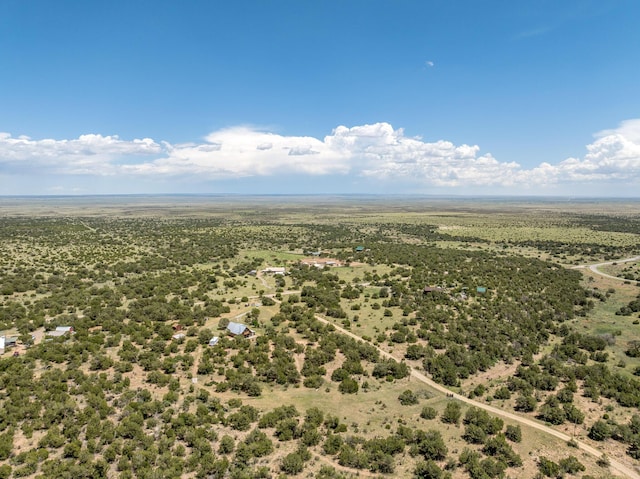 1 Dinosaur Rd, Stanley, NM 87056 - view of rural area