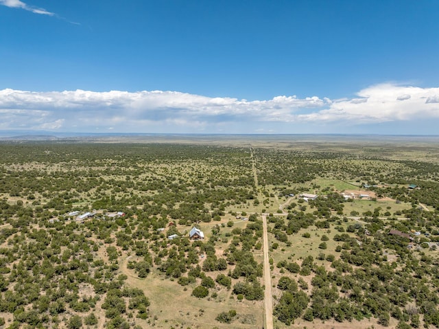 1 Dinosaur Rd, Stanley, NM 87056 - bird's eye view