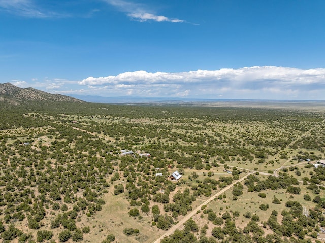 1 Dinosaur Rd, Stanley, NM 87056 - aerial view of a mountainous background