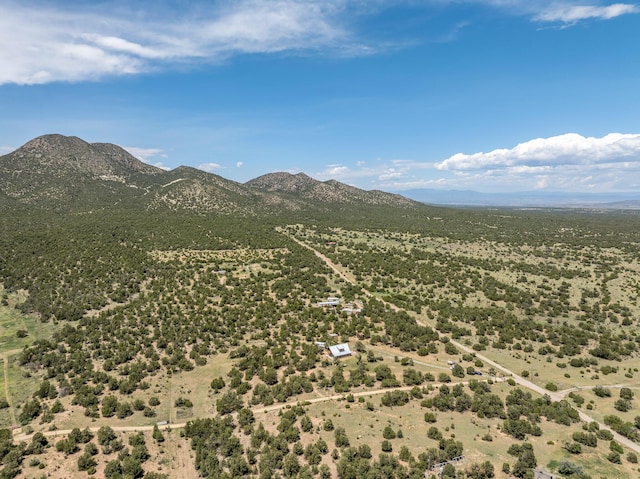 1 Dinosaur Rd, Stanley, NM 87056 - mountain view