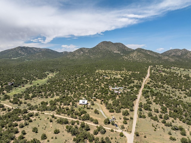 1 Dinosaur Rd, Stanley, NM 87056 - drone / aerial view of a mountain backdrop