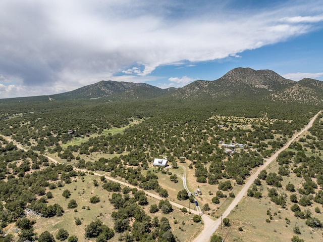 1 Dinosaur Rd, Stanley, NM 87056 - drone / aerial view of a mountainous background