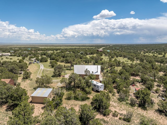 1 Dinosaur Rd, Stanley, NM 87056 - drone / aerial view of a forest