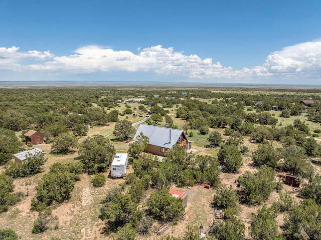 1 Dinosaur Rd, Stanley, NM 87056 - drone / aerial view