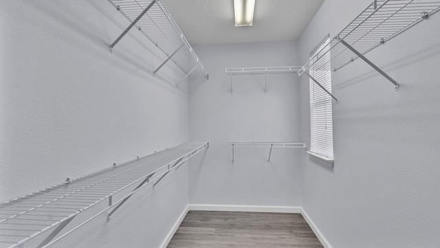 3536 Clear Creek Pl, Rio Rancho, NM 87144 - walk in closet featuring wood finished floors
