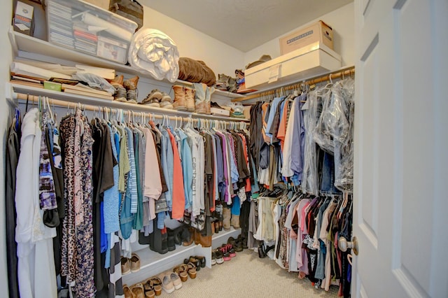 2 Partridge Ct, Peralta, NM 87042 - spacious closet featuring carpet floors