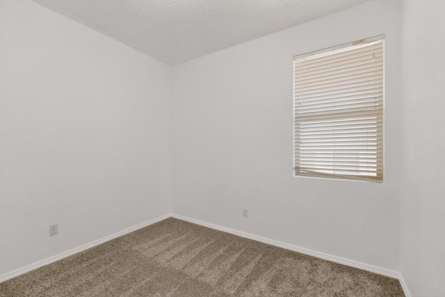 6820 Old Mesa Dr NW, Albuquerque, NM 87120 - photo 28