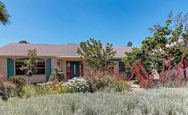 7408 Vista Del Arroyo Ave NE, Albuquerque, NM 87109 - photo 49